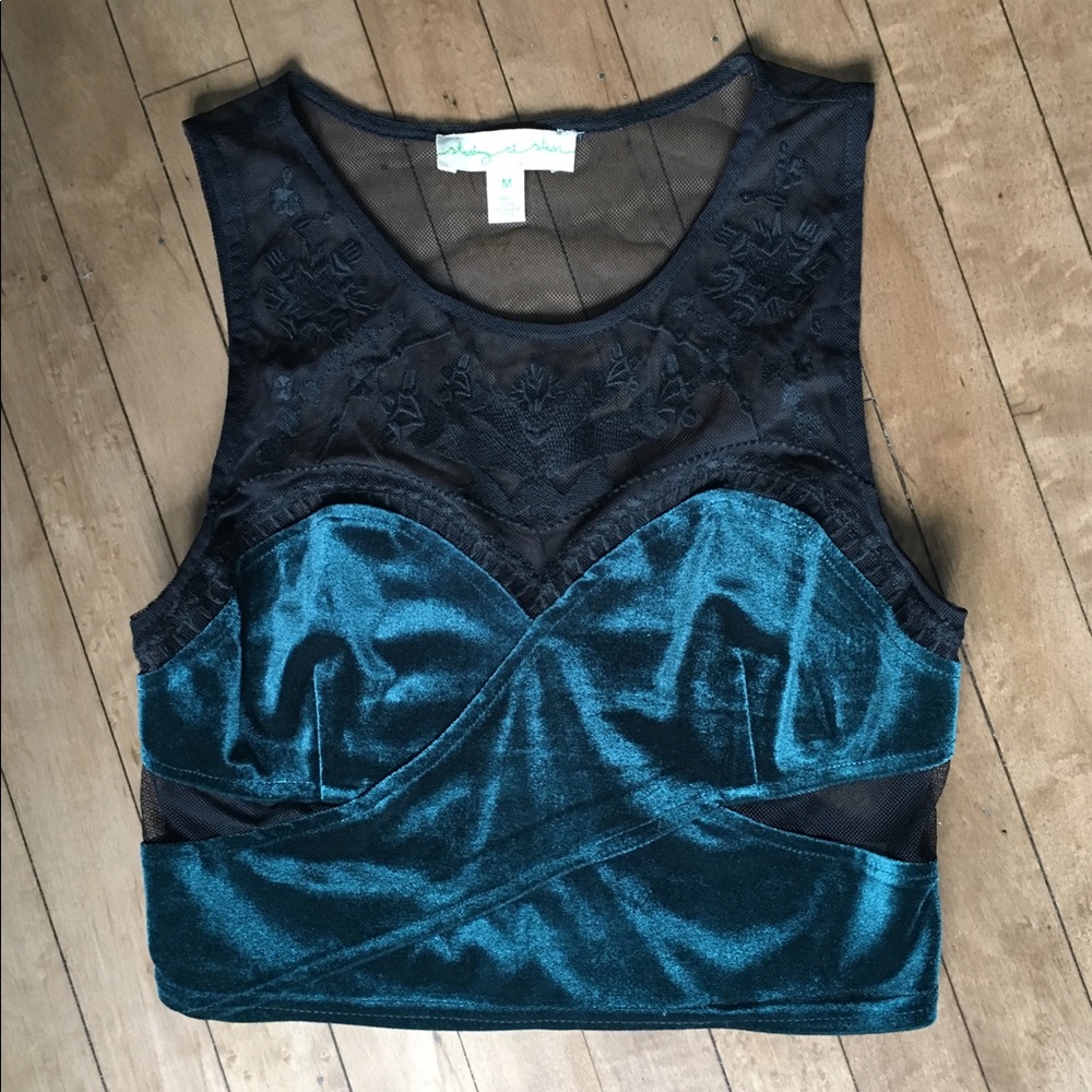 UO Velvet and Embroidered Lace Crop Top